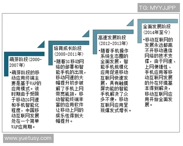 中国足球发展现状与未来趋势的综合研究与分析